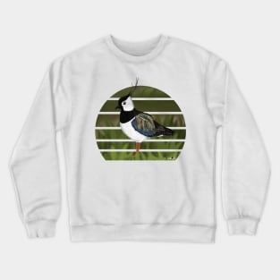 jz.birds Northern Lapwing Bird Animal Design Illustration Crewneck Sweatshirt